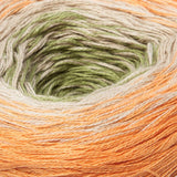 Katia Spring Rainbow Shawl Kit