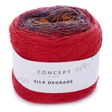 Katia Concept Silk Degrade Top Kit